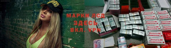 трава Верея